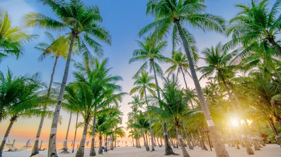 Kiyomizu Temple Fushimi Inari Shrine Nara Park from Osaka/Kyoto