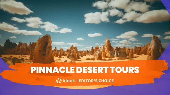 Saint Emilion Village and Wineries Tour with lunch from Bordeaux 7 Saint Emilion Village and Wineries Tour with lunch from Bordeaux