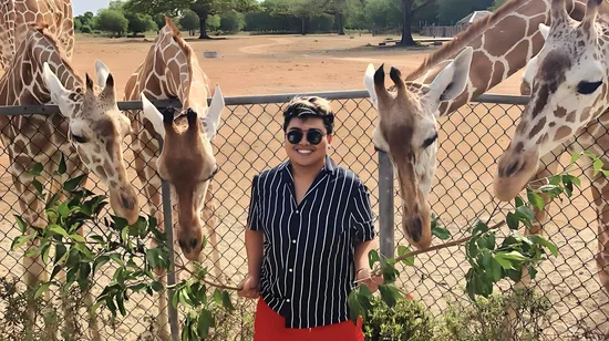 Old Town Audio Trip in Munich 7 Old Town Audio Trip in Munich