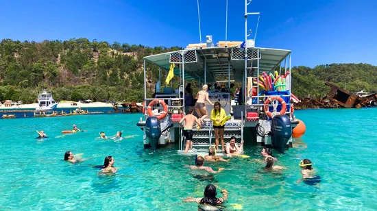 Brisbane Whale Watching Experience