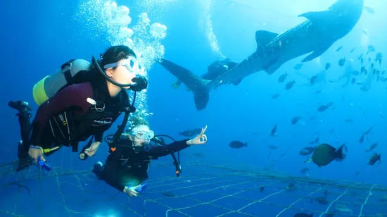 Jaipur Sightseeing Day Tour