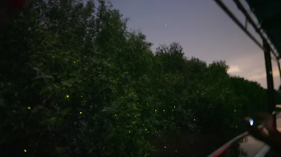 Luxury Yacht Experience at Lambai Island