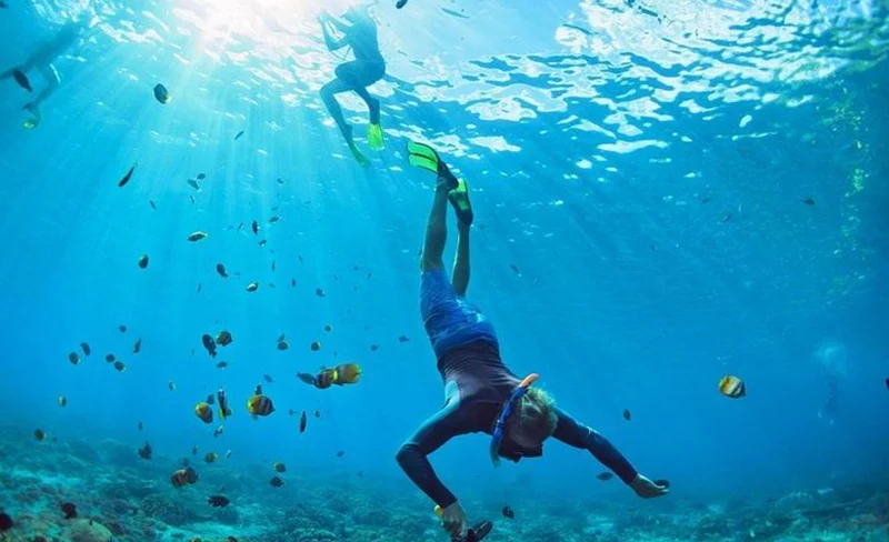 Key West Tour with Choice of Water Activities from Miami