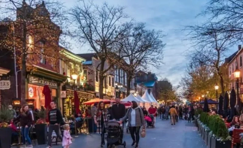 Old Town Alexandria and Mount Vernon Tour from Washington, D.C. 7 Old Town Alexandria and Mount Vernon Tour from Washington, D.C.