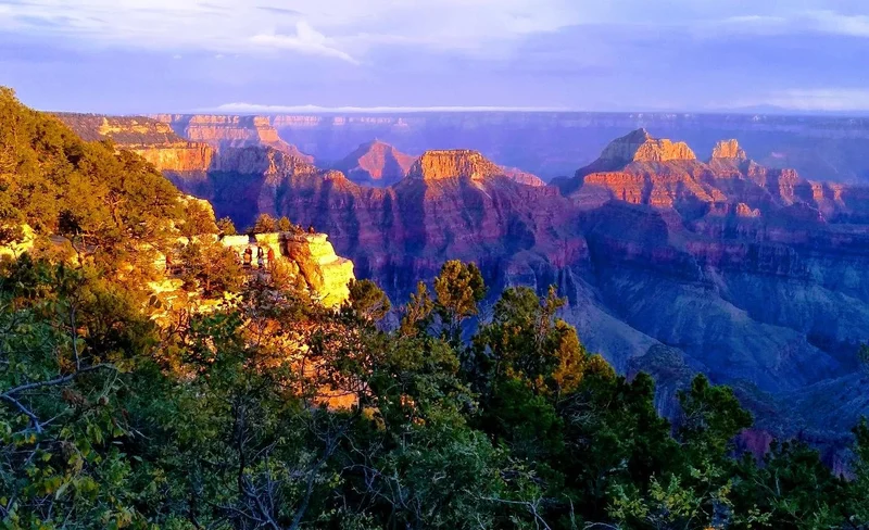 Grand Canyon North Rim Private Day Tour from Las Vegas 7 Grand Canyon North Rim Private Day Tour from Las Vegas