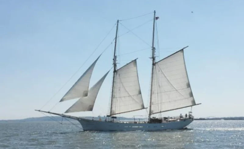 Day, Sunset, or City Light Night Sailing Cruise from Clipper City