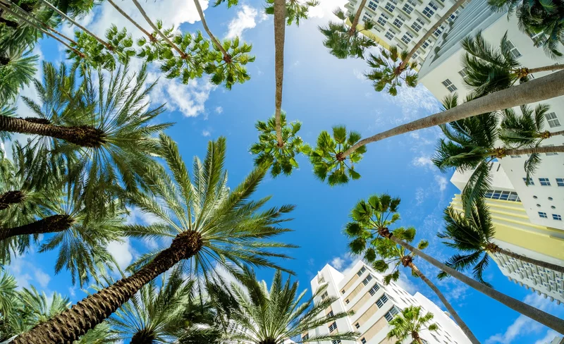 Miami City Private Tour from Miami or Fort Lauderdale