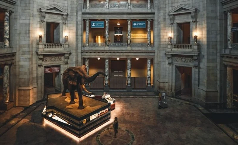 Smithsonian National Museum of Natural History Tour 7 Smithsonian National Museum of Natural History Tour