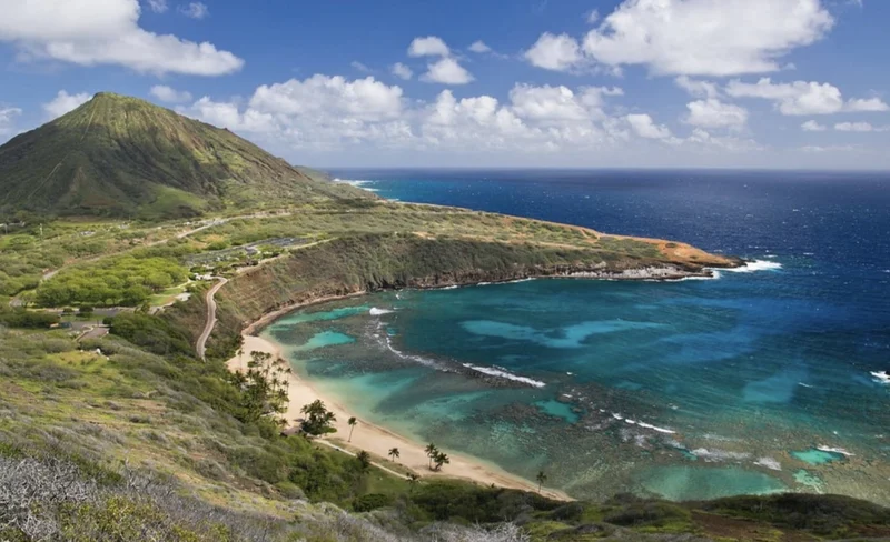 Tour of North Shore and Waimea Waterfall in Hawaii