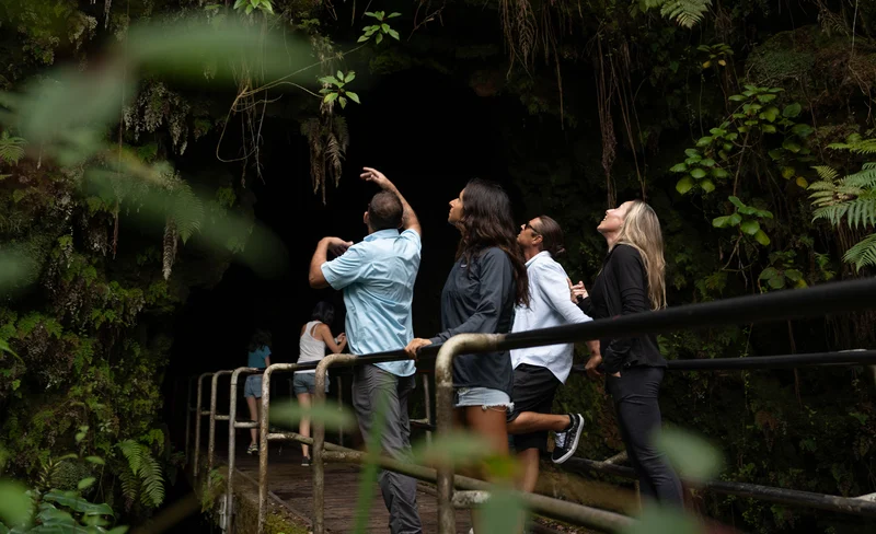 Deluxe Big Island Volcanoes and Dinner Tour