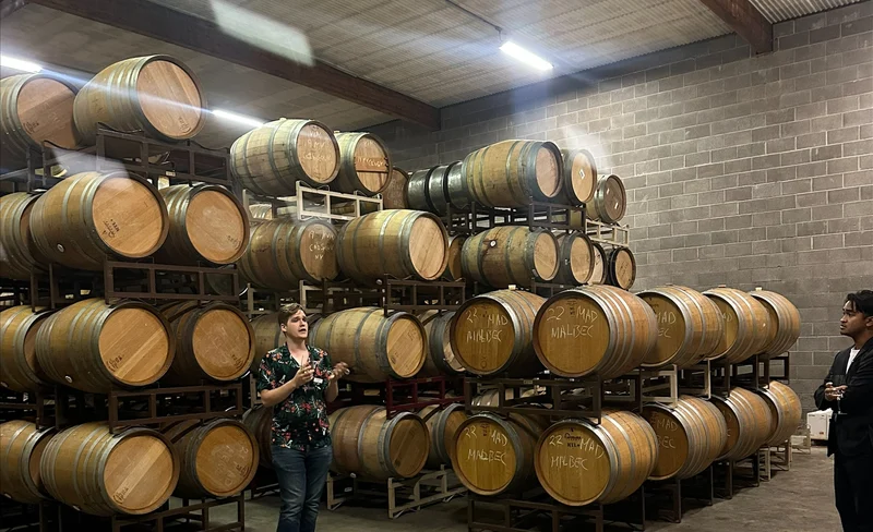 Half-Day Wine Tasting Tour from San Francisco