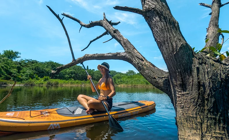 Hualien: Water Forest SUP Experience