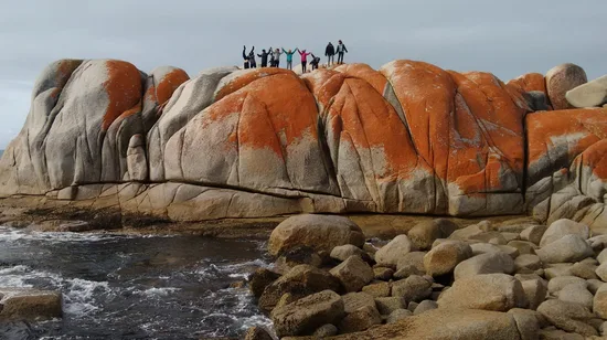 Mt. Fuji & Hakone Day Tour from Tokyo