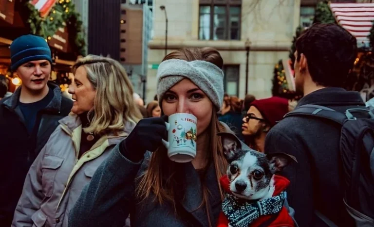 Season Sampling Food & Walking Tour in Chicago