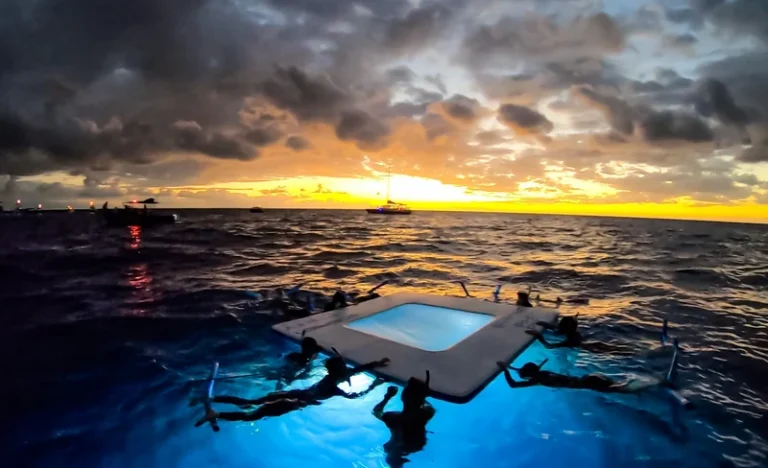 Kona Manta Ray Night Snorkel with Sunset Cruise Tour