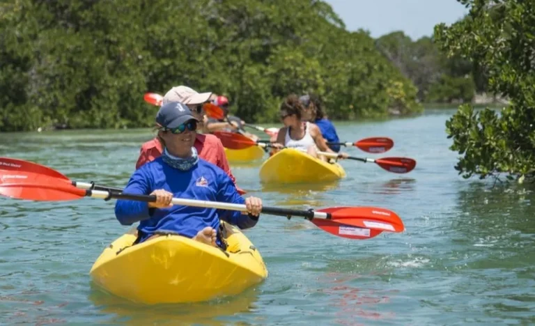 Key West Island Eco Tour with Kayak and Snorkeling from Miami