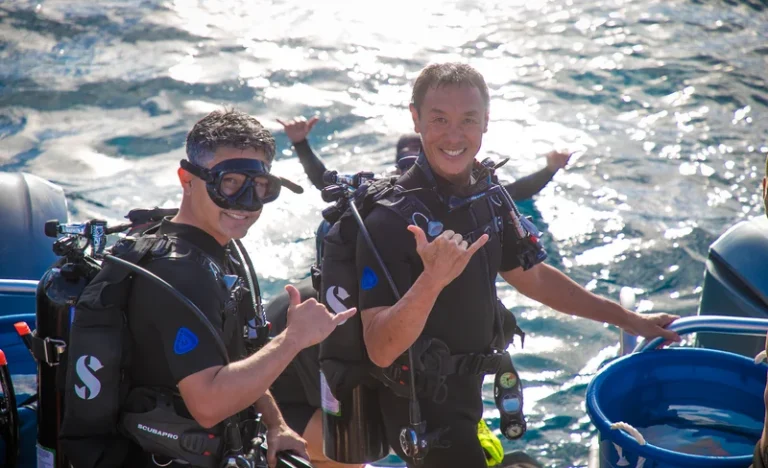 Explore Honolulu: Open Water Diver eLearning with PADI 5* Center