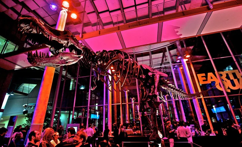 California Academy of Sciences NightLife Ticket in San Francisco