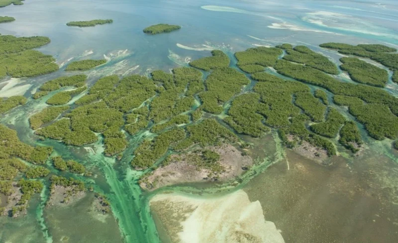 Eco Helicopter Tour in Key West