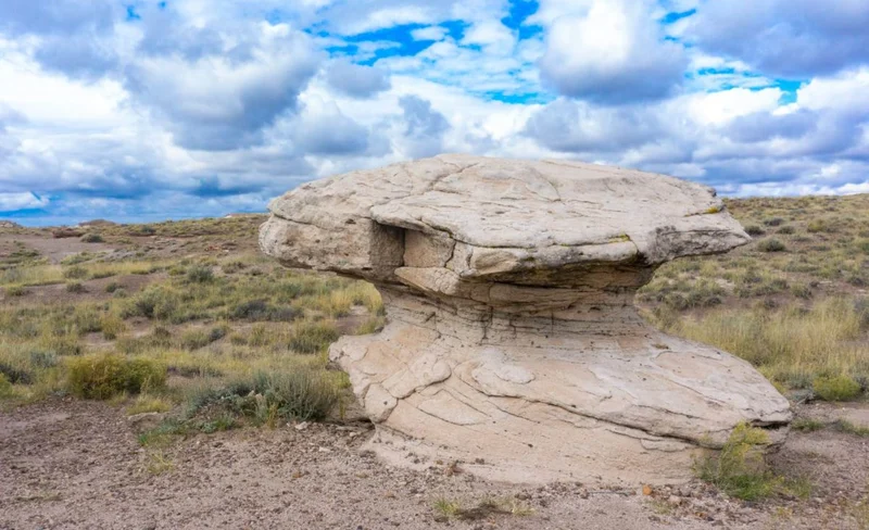 Petrified National Park Self-Guided Driving Audio Tour