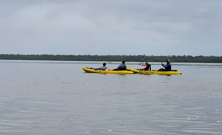 Everglades National Park Kayaking and Nature Walk with a Naturalist