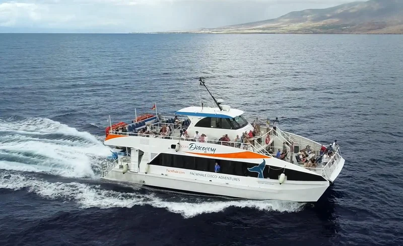 Sunset Dinner Cruise in Maui
