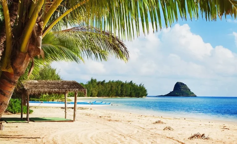 Kualoa Ranch Secret Island Beach Experience