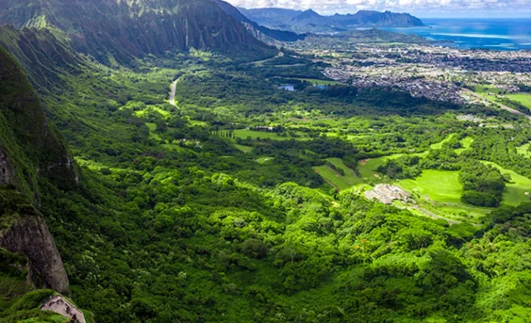 Grand Circle Island and Haleiwa Town Tour