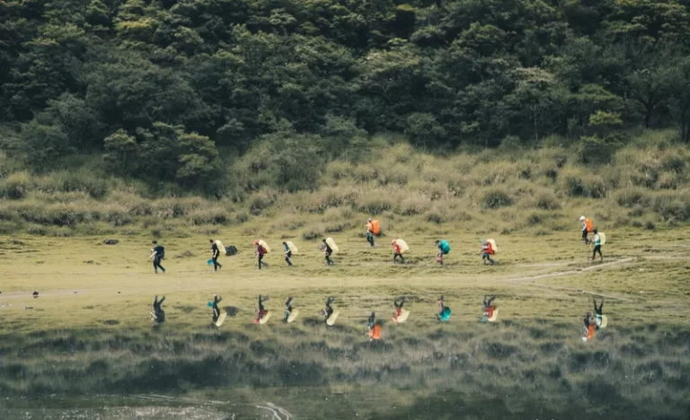 a5uf8xmvsyk8xlipzies