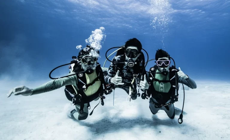 a9bfbtw51jc06dkwkbpk