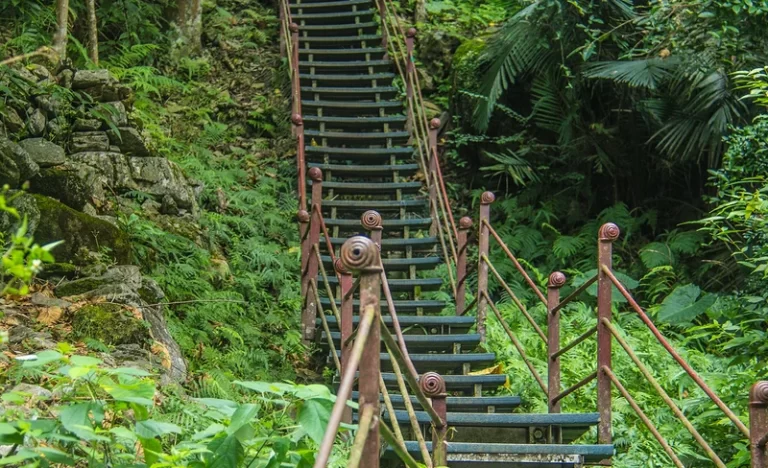 aldrdyj5rhr0ubp5gzja