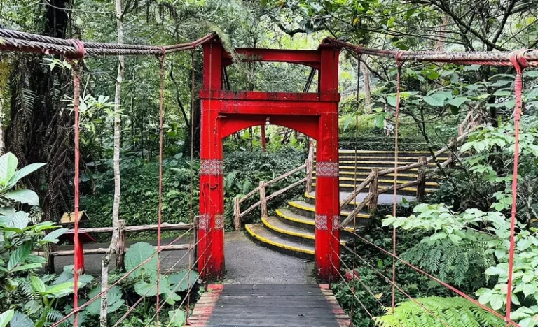 d0w6q5bbtfnpivlll6nq