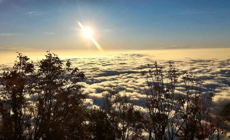 d0zob2pvywwny7n9ymck