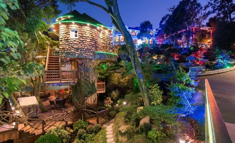 dtig3ohal2pttaigxni5