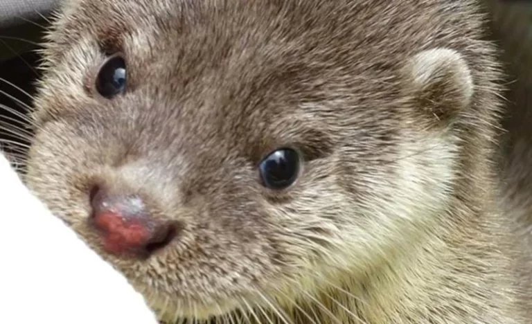 eltncm2u8flcafzjc2xg