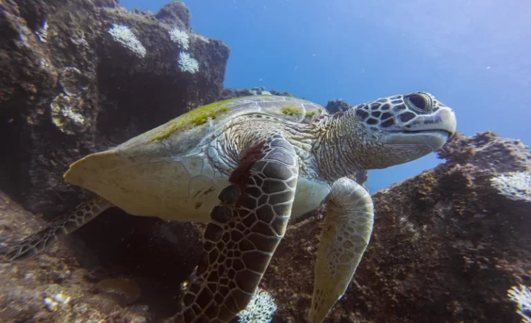 ewkze9ltganivruog4g8