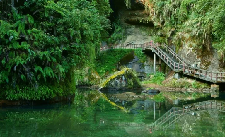 g02vyabx89twrzh2t9nd