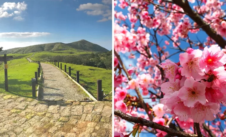 gs7fx7u1fztiphbqy3dq