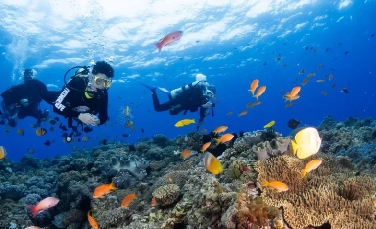 htbiolbexy0zcoblaoha