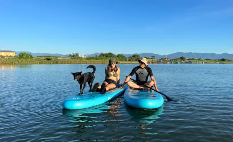 kttjufg8ajtpdzgm82ff