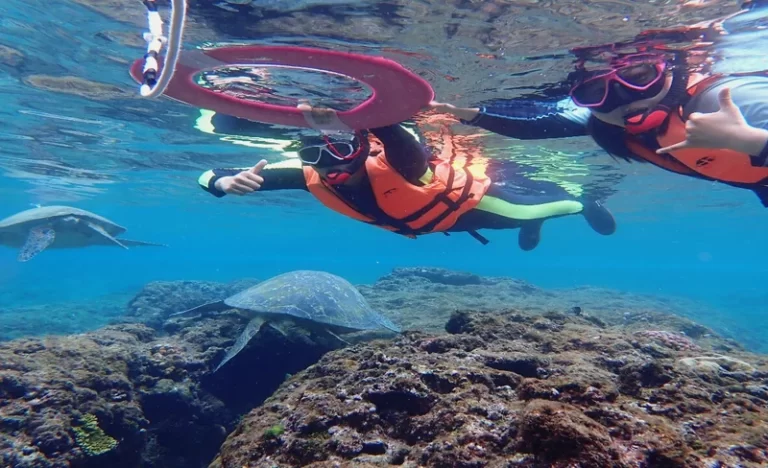 mmapxj5zfhfyp2kxief8