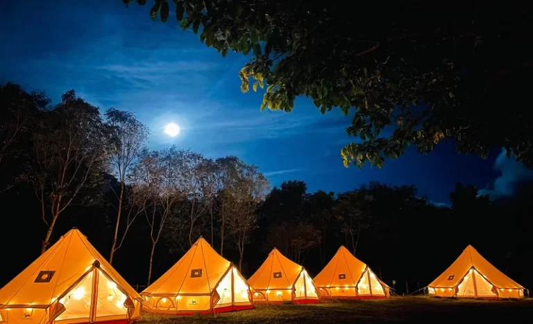 mptpmtqpvk8ppmil3bpk