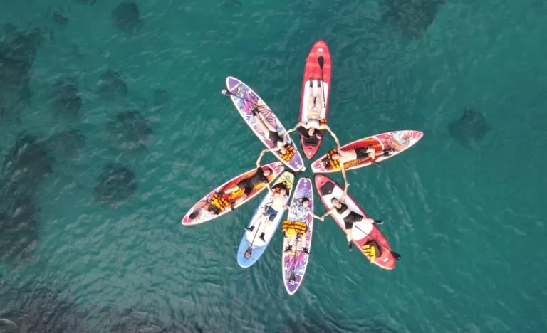 nrzdzszb6zid9spkdq3z