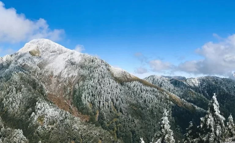 nvo18ttxtdr6rvhz7n3p