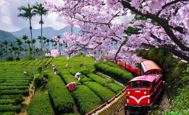 nxdmk2z2huhbbkevnjt3