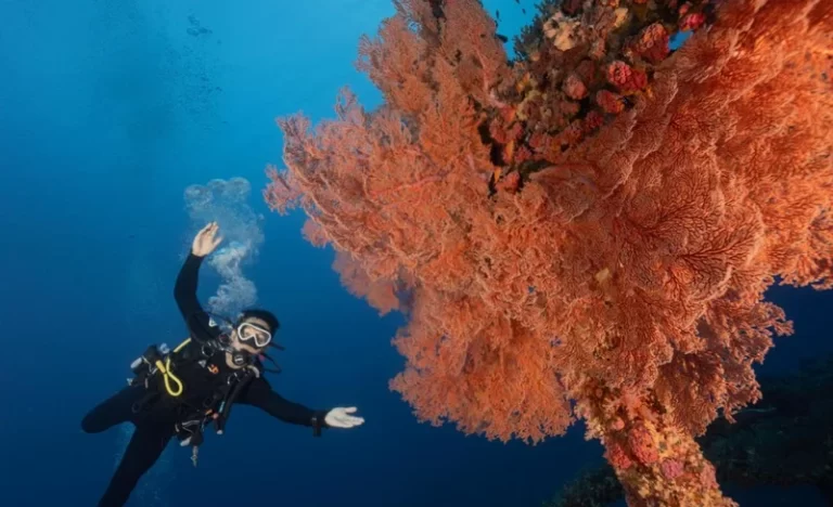 o37qagd7g100bs5qu0mw