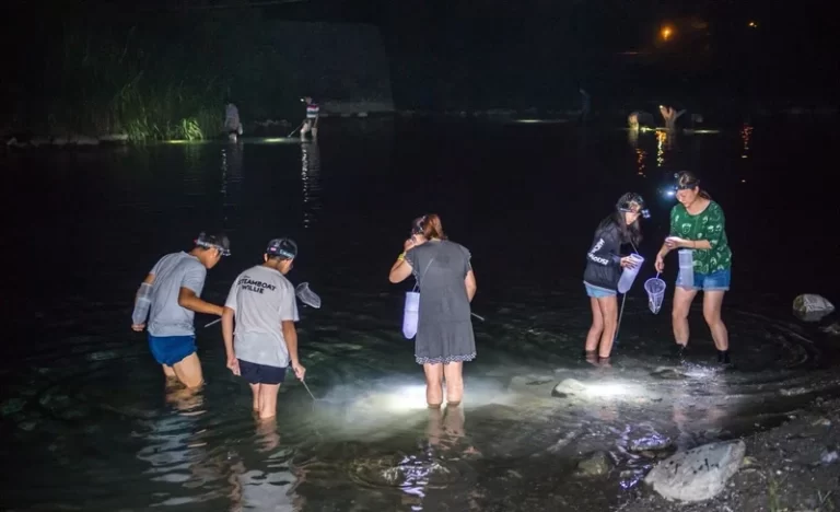 thauxarzbv0wbuhh05cd