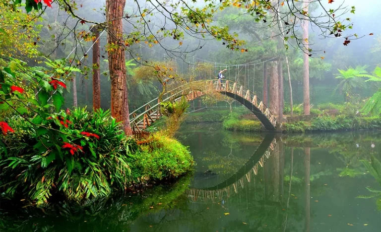 uno443z55fkr26cqhjmp