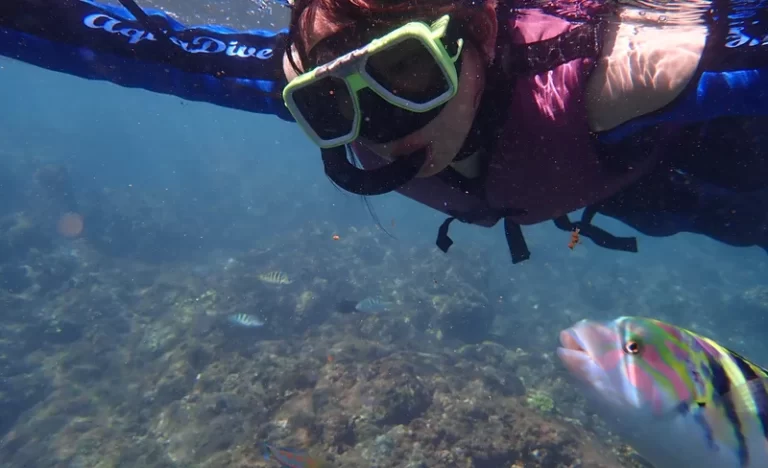 v0qjxsvipstilgyi20tv