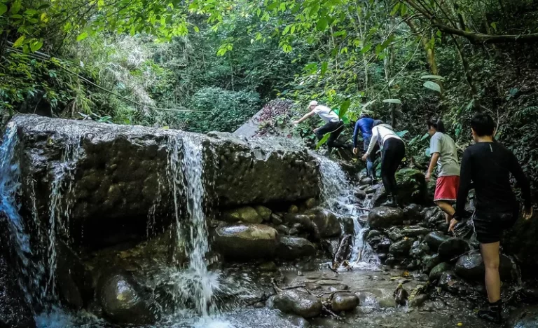 vgt6jcjiy2l6qobglewu